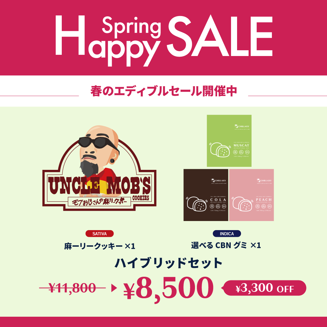 【期間限定】ハイブリッドセット