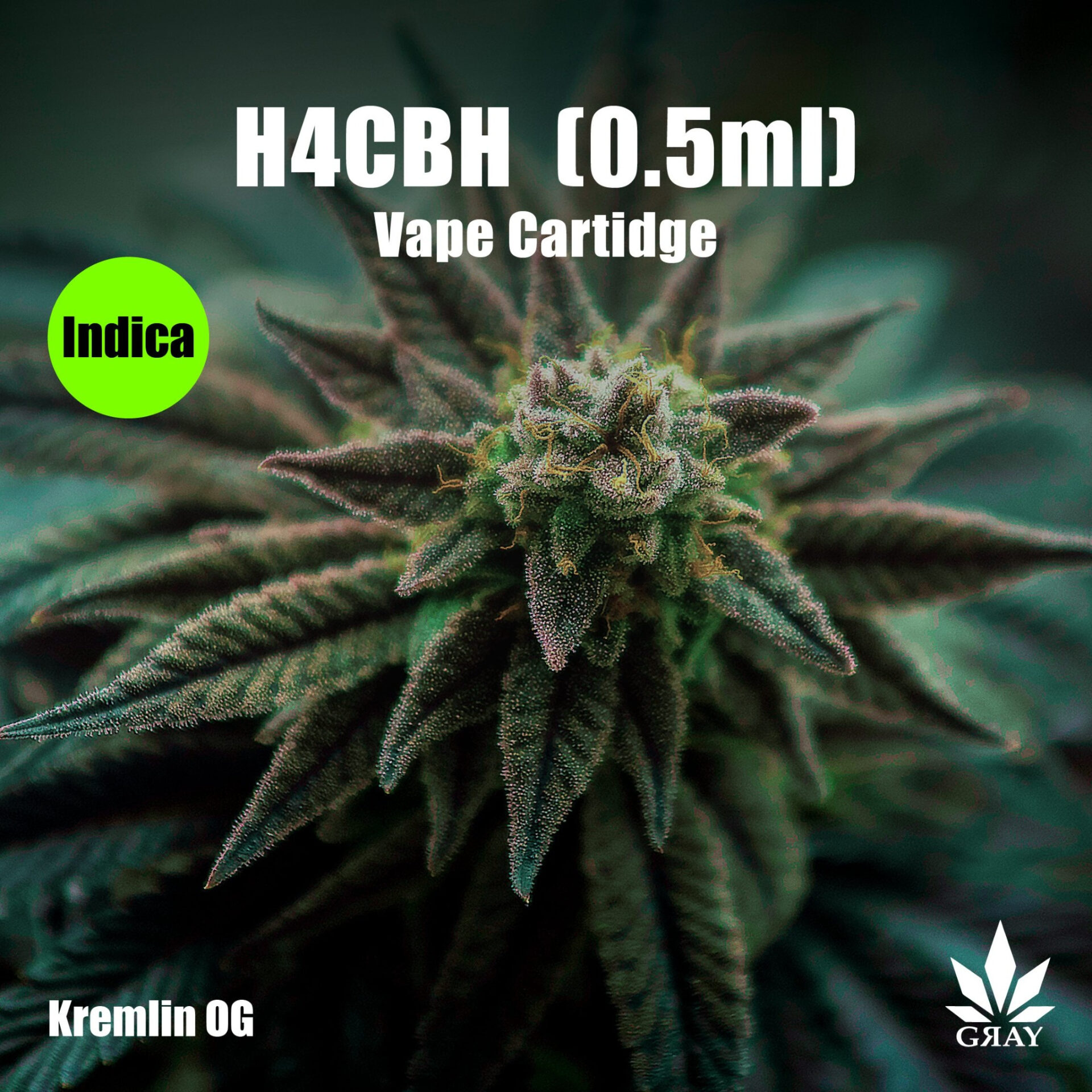 【卸専用】【H4CBH】インディカリキッド（0.5mL）